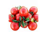 Боцман F1 - томат детерминантный (Lark Seeds) фото, цена